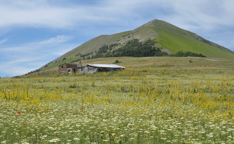 Monti Sibillini